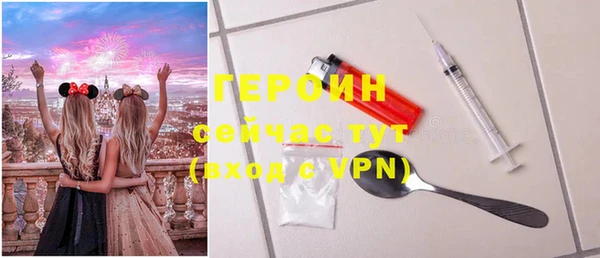 индика Козельск