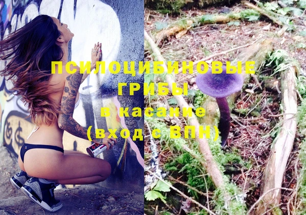 бошки Нея