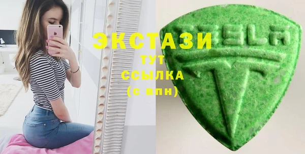 индика Козельск