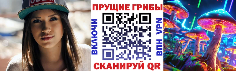 Псилоцибиновые грибы GOLDEN TEACHER Рославль