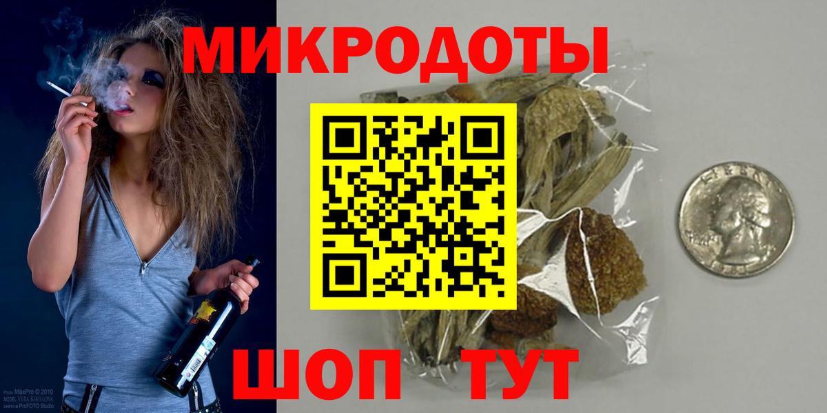 Псилоцибиновые грибы Psilocybe Рославль