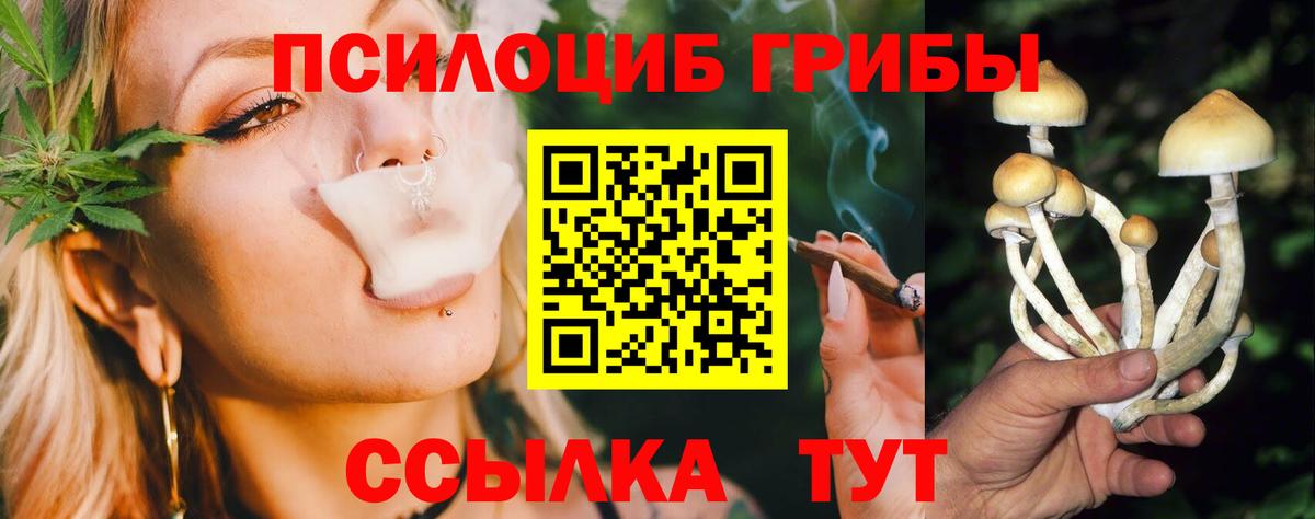 Рославль  Псилоцибиновые грибы Magic Shrooms  Вход с VPN  купить наркотики цена  Галлюциногенные грибы мицелий 